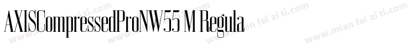 AXISCompressedProNW55 M Regular字体转换